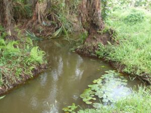 Cours d'eau de la ferme école