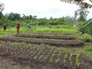 Travail des filles en formation agricole